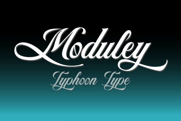 wedding sign fonts example: Moduley font specimen