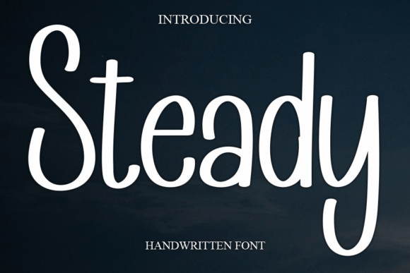 whimsical fonts for toy packaging example: Steady font specimen