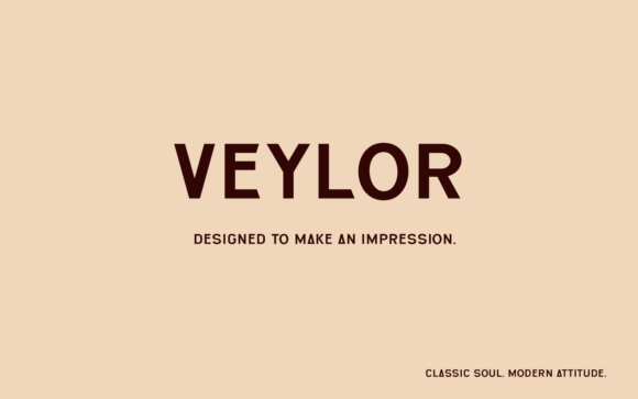 sans serif logo fonts example: Veylor font specimen
